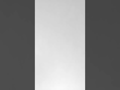 드래곤 보트 페스티벌 팀 빌딩